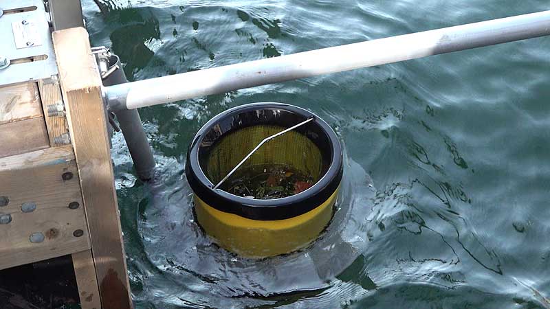 🌊🚢 2019 Seabin Project in Toronto's Inner Harbour