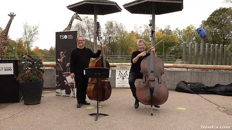 2021 Toronto Zoo 🐻🌳🦧 New Collaboration With Toronto Symphony Orchestra Announcement