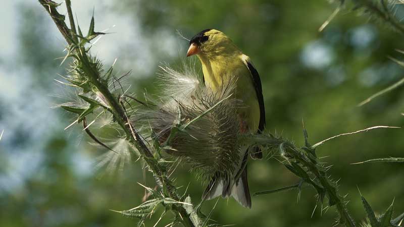 2023 Toronto Zoo 🐻🌳🦧 Treatment by Nature with PaRx Prescription