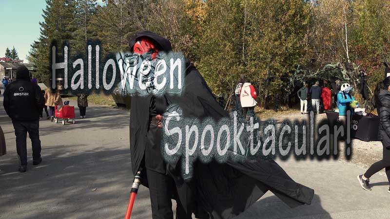 2023 Toronto Zoo 🐻🌳🦧 Halloween  Spooktacular!👻🎃