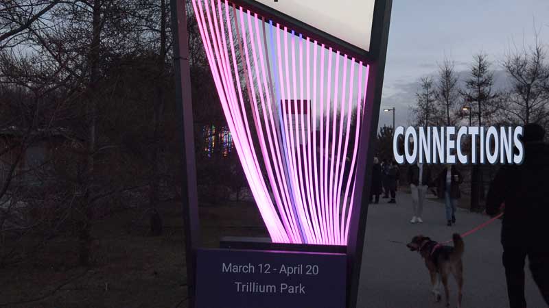 💡 Lumière: The Art of Light 2024. Connections🧠💡✨Trillium Park Toronto