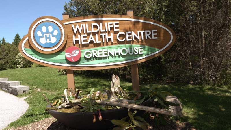 2024 Toronto Zoo 🐻🌳🦧 Newly Renovated Greenhouse Opening Photo Friendly Experience 🌹👪📷