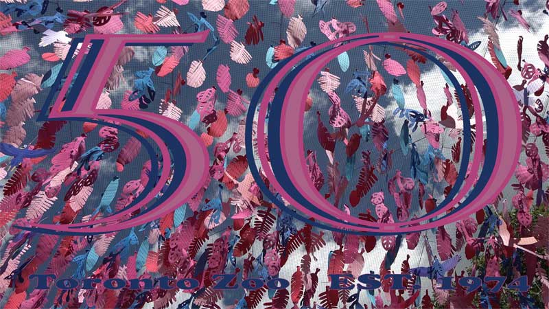 2024 Toronto Zoo 🐻🌳🦧 50th Anniversary Celebration 🦍