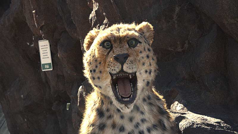 2025 🌍🐘🦁 Realistic Animatronic Animals at Toronto Zoo | Wild Walk Exhibition