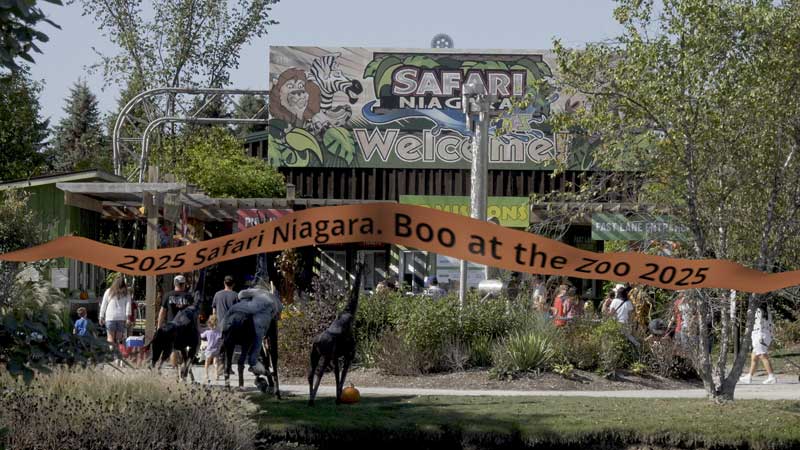 2025 🎃👻 Halloween at the Safari Niagara 🎃 Boo at the Zoo Family Fun Day
